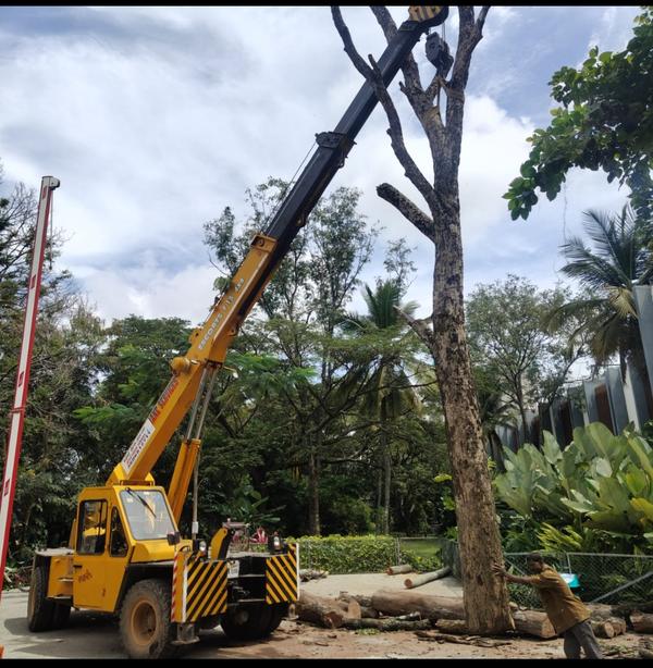 Tree cutting Sarjapura near la
