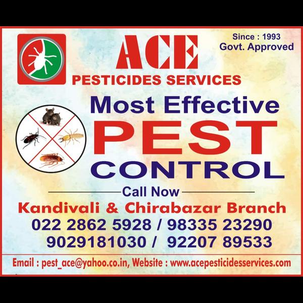 BED  BUGS PEST CONTROL COMPANI
