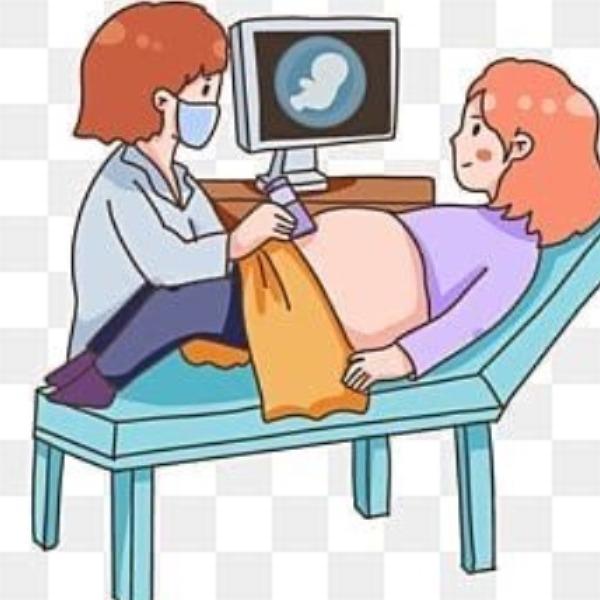 high risk pregnancy doppler te