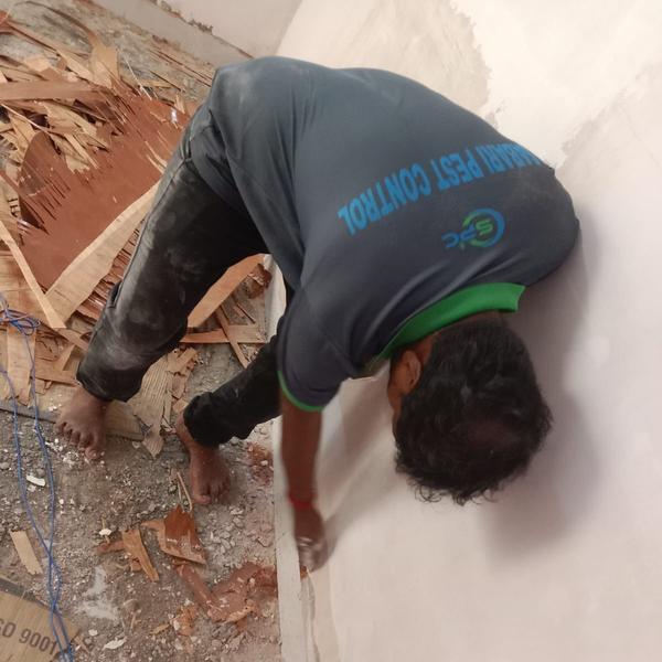 anti termit control service in