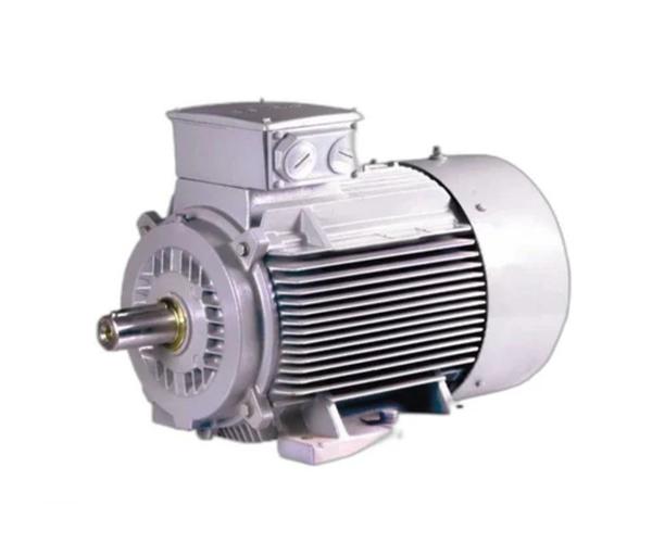 Leading supplier siemens electric motor in coimbat