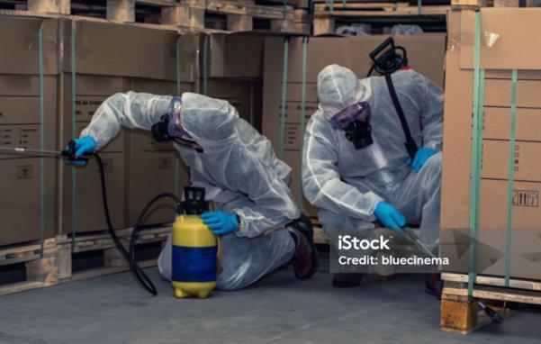 termite and cockroach treatmen