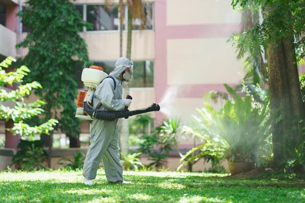 prevent mosquito infestations