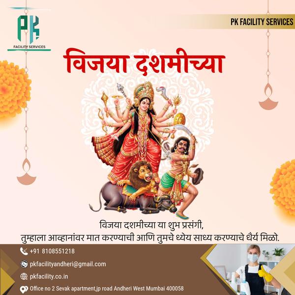 professional housecleaning and