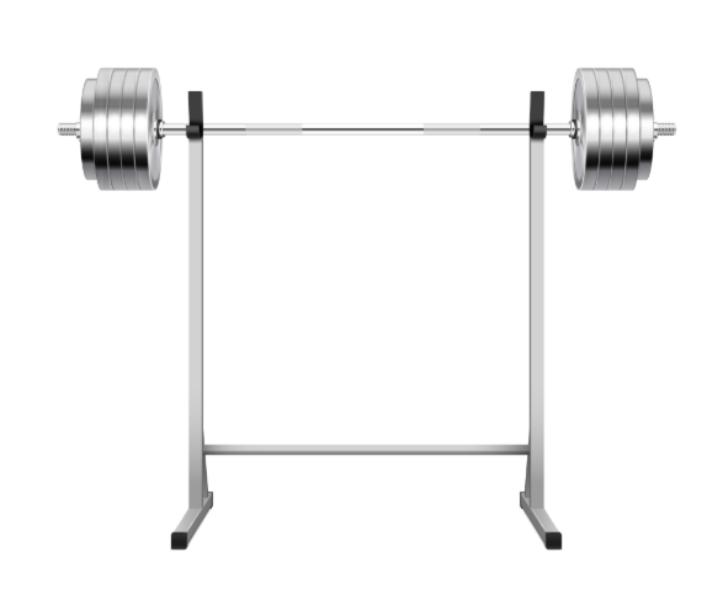 A weight plates stand is an indispensable part of
