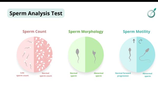 semen analysis near me