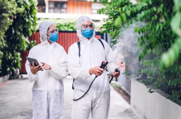 pest control company in delhi