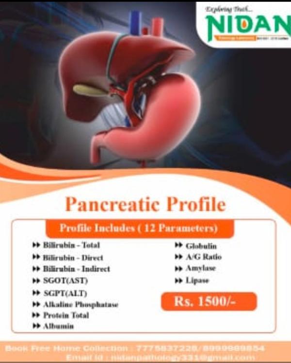 bilirubin processing