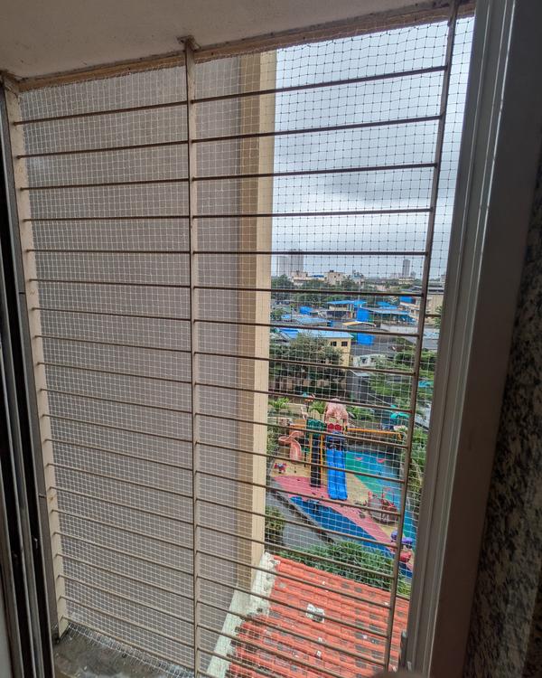 #bird netting in gb road #bird