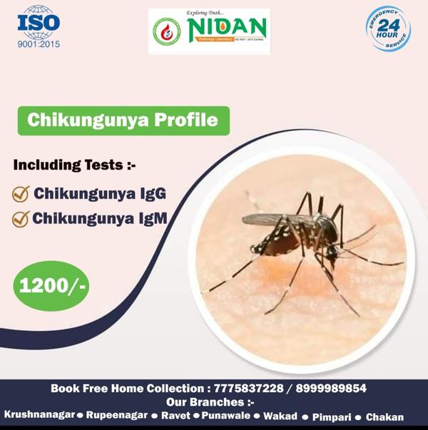 chikunguniya profile