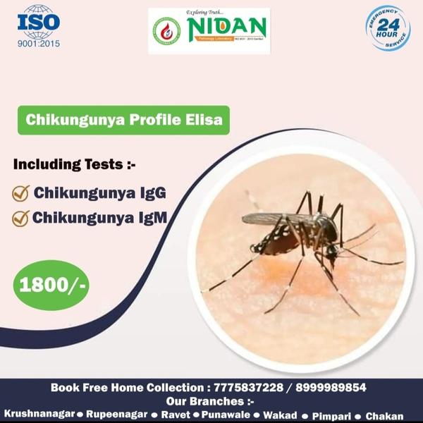 dengue igg tests