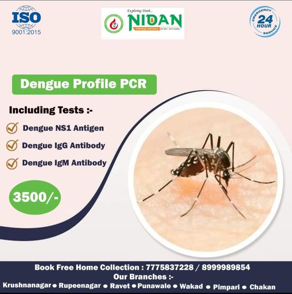 dengue igg tests