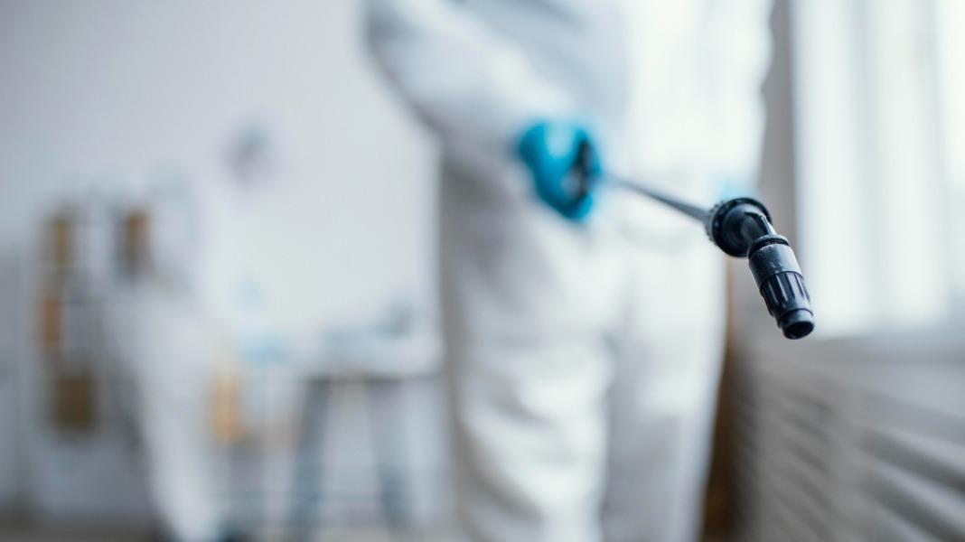 cleaner pestfree environment