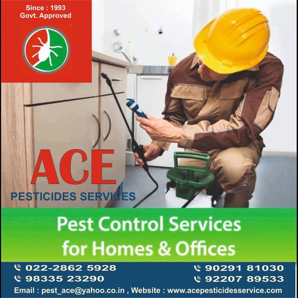 ACE PESTICIDES SERVICES Offer 