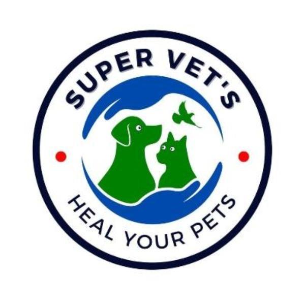 🐾 Super Vets Clinic – Complet