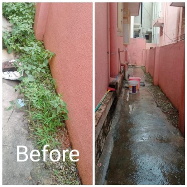 Deep cleaning services 
Wall c