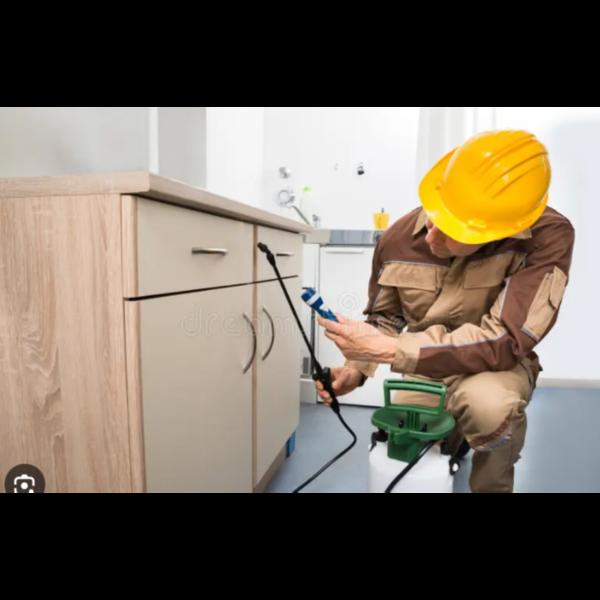 termite and cockroach treatmen