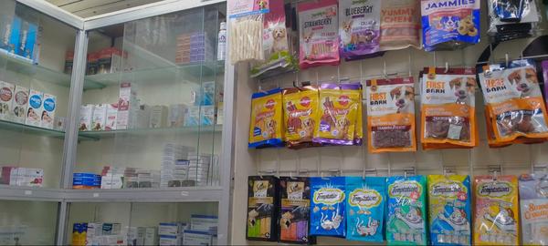 Trustworthy animal hospital in