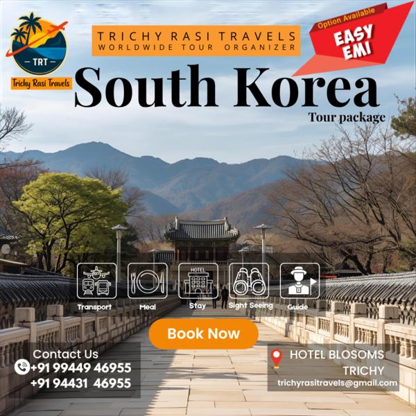 seoul nami island busan tour