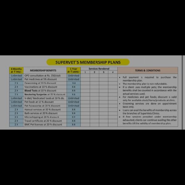 *' *Best animal hospital in ch