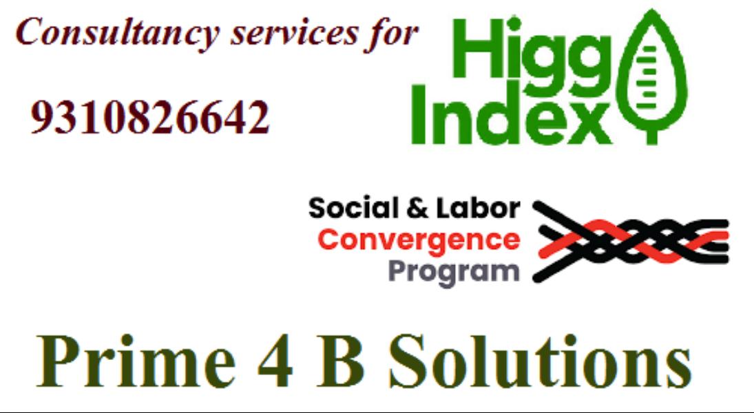 The HIGG INDEX developed in 20