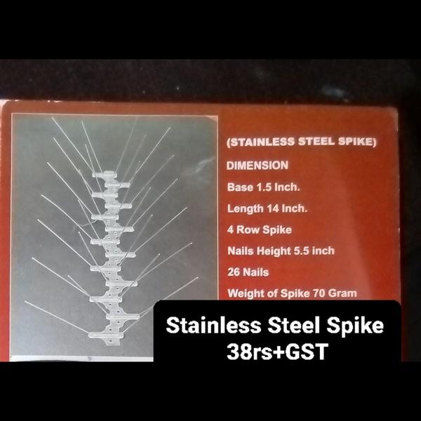 Stainless Steel Spike 38rs  + Gst