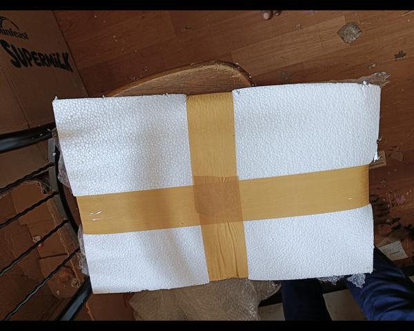 FedEx international courier se