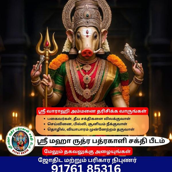 Phone Consultation available..