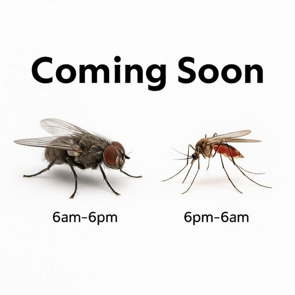 update image