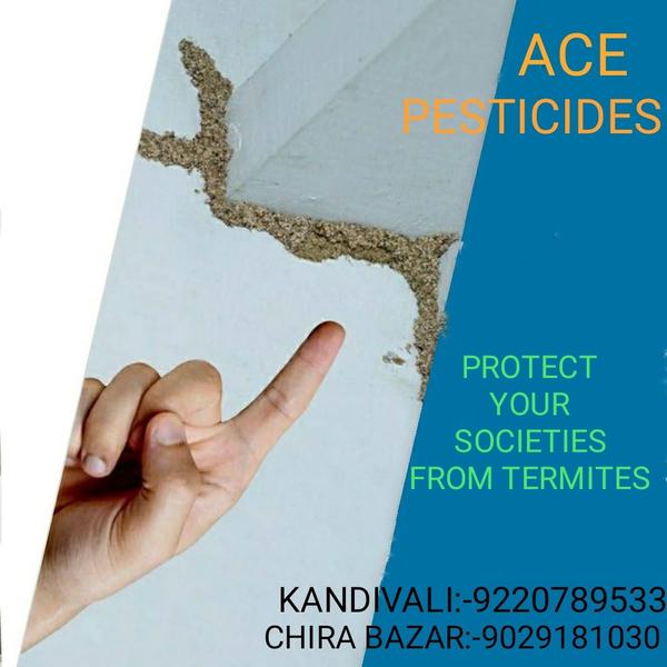 ACE PESTICIDES SERVICES : SINC