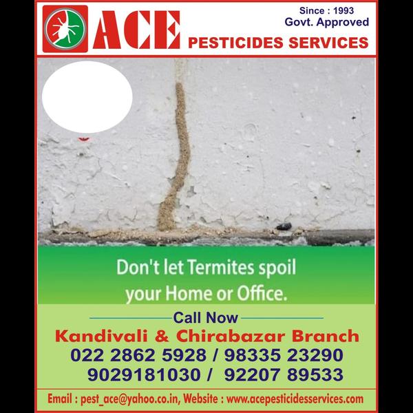 ACE PESTICIDES SERVICES Offer 