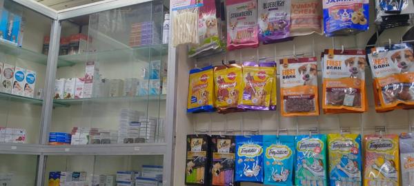 Best pet clinic in chembur '* 