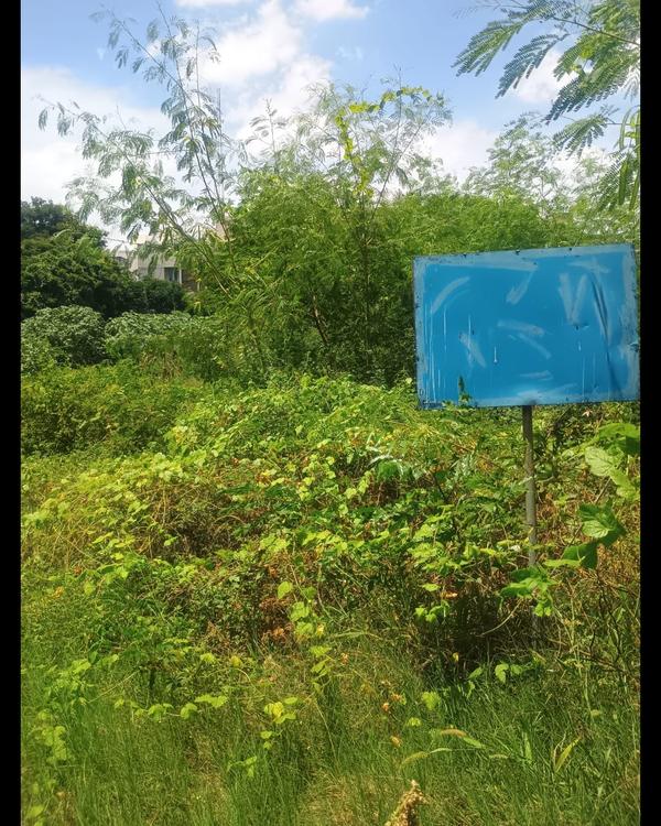 Land Available for Joint Ventu