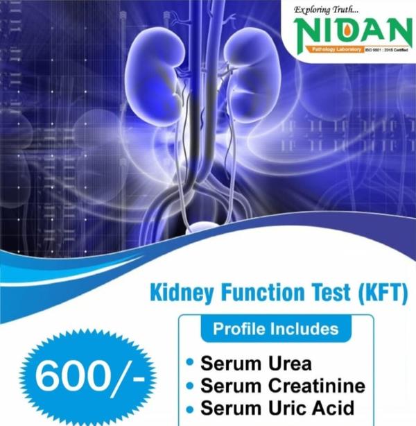 liver and kidney function test