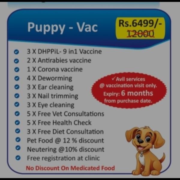 Trusted animal hospital in che