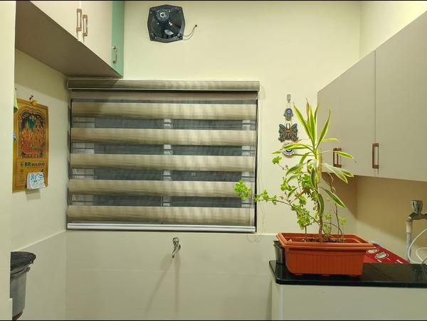 alternating sheer and opaque b