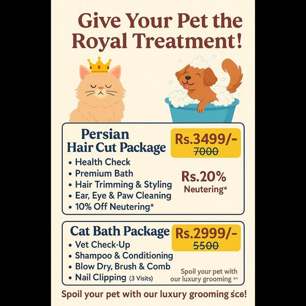 *Best Pet Grooming Centre in C
