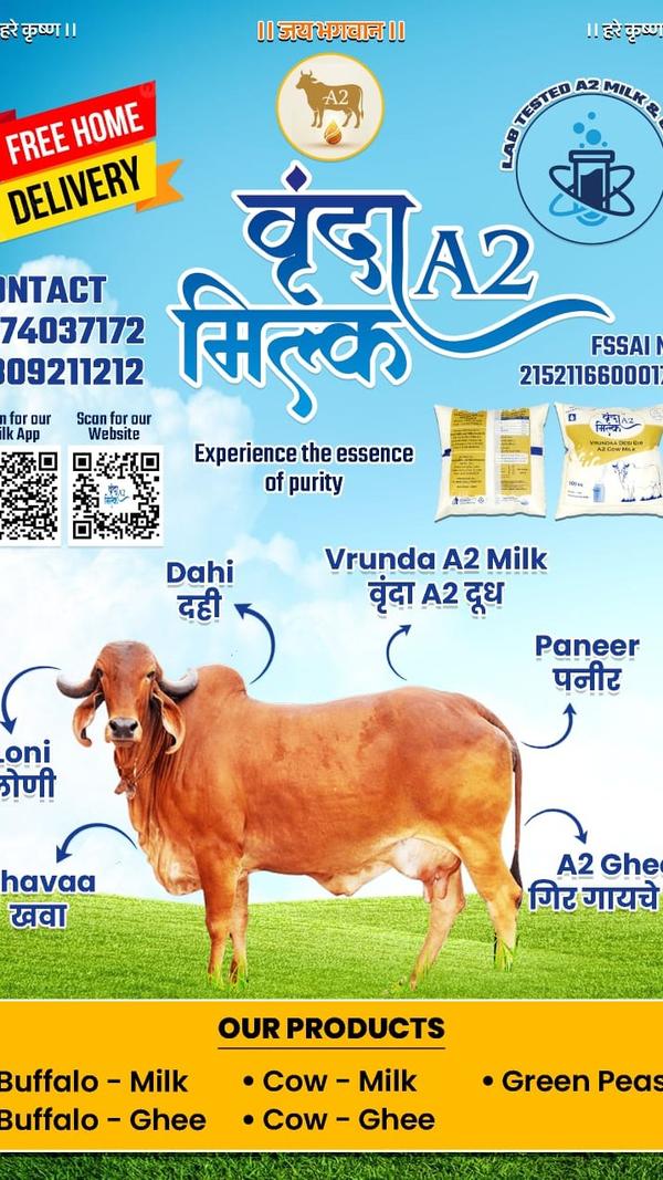 Fresah and healthy A2 milk and ghee in offer'H'