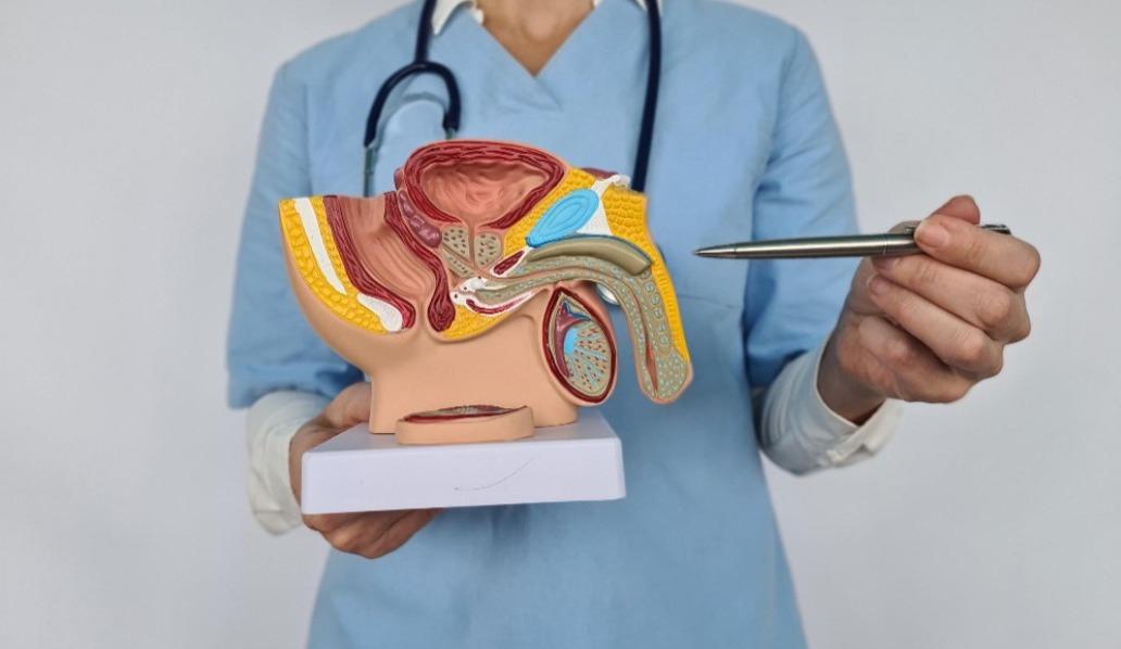 minimally invasive prostate pr