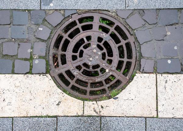 anti cockroach drain cover