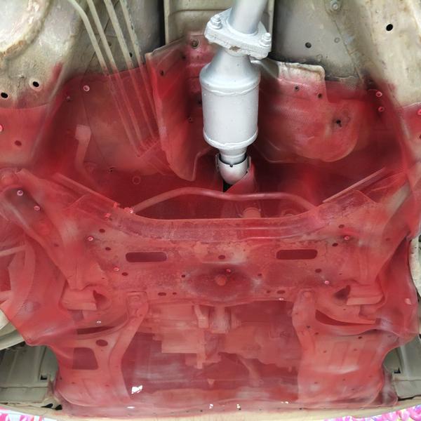 car rat mesh porur beejees car