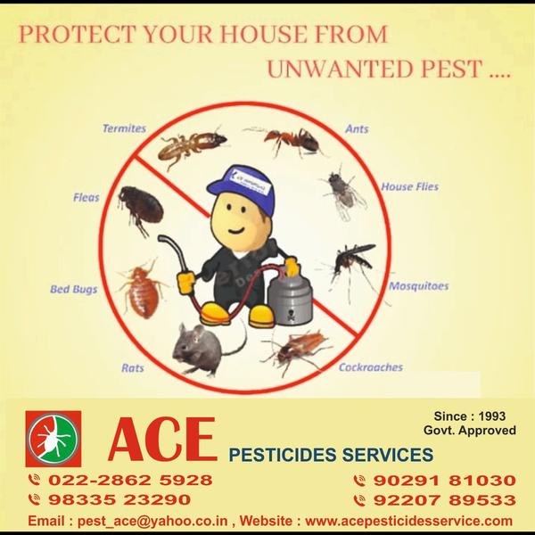 ACE PESTICIDES SERVICES-We're 