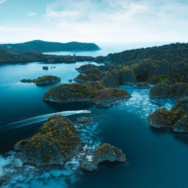 book international trips nagpu