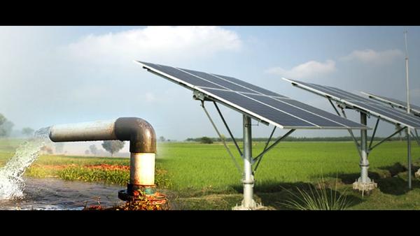 Solar water pump in Salem Tami