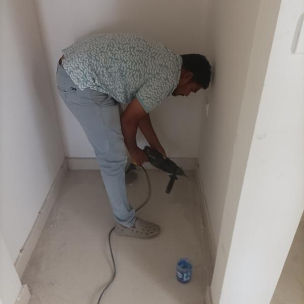 termites inspection
