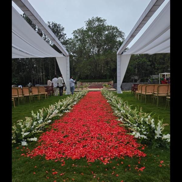 Party Organizer in Kammanahall