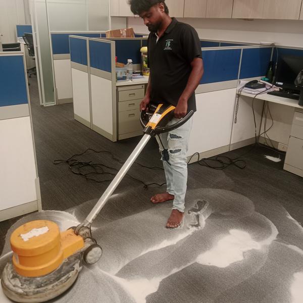 professional carpet cleaning s