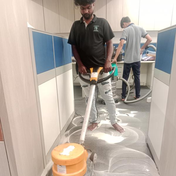 professional carpet cleaning s