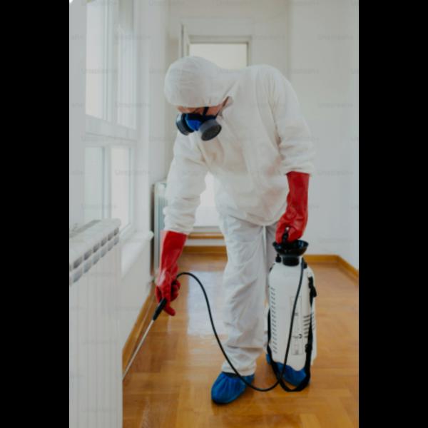 Pest Control Services play a