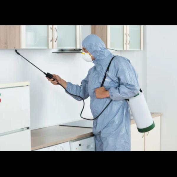 Pathrol Pest Control is a trus